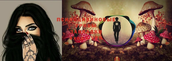 ешки Арсеньев
