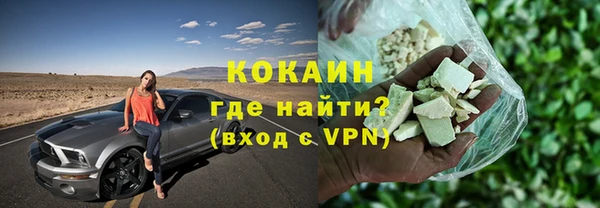 ешки Арсеньев