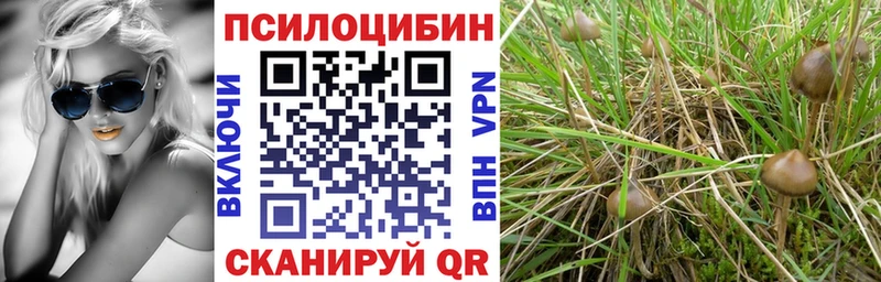 где купить наркотик  Пустошка  Псилоцибиновые грибы мицелий 